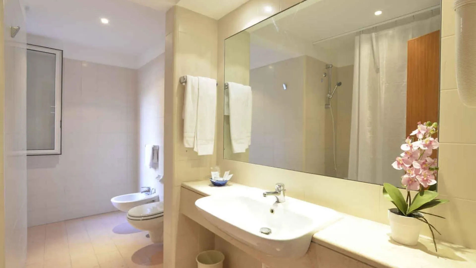 Hotel Tex Roma